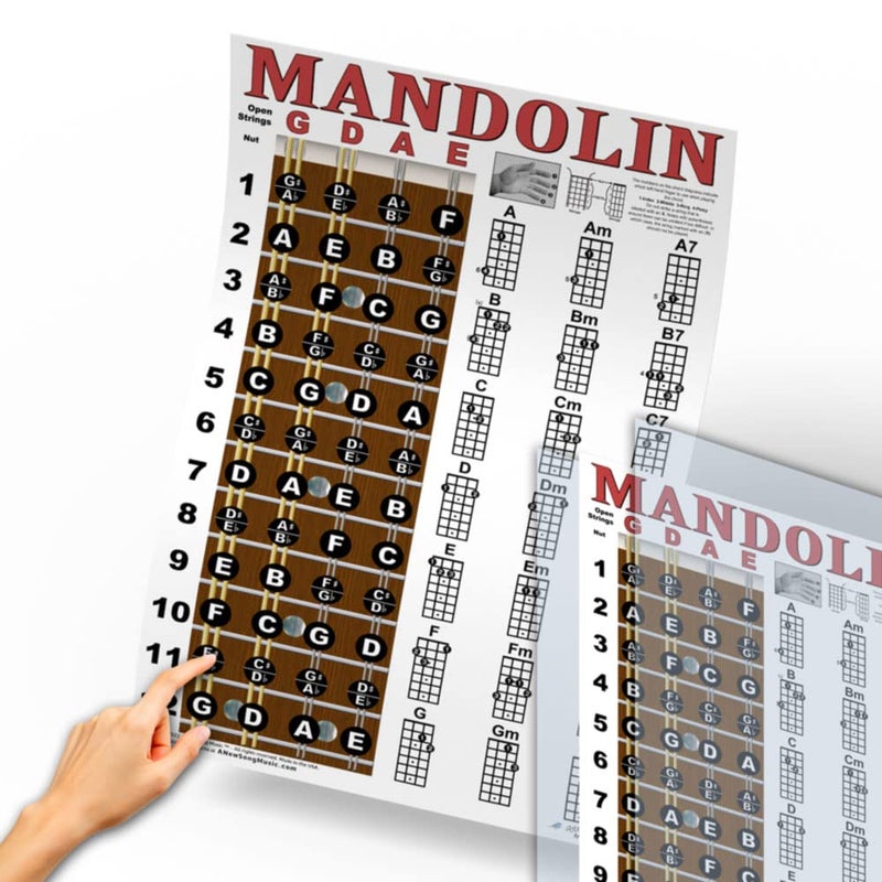 A New Song Music Laminated Mandolin Fretboard Notes & Easy Beginner Chord Chart 11"x17" Instructional Poster by A New Song Music - Image 4